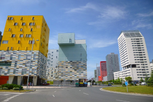 Eine Stadtstraße mit hohen Gebäuden, die als Teil der Universität Rotterdam etikettiert sind, Straßenlaternen, Verkehrspoller, Kraftfahrzeuge, Informationsschilder, Büsche, Bäume und ein bewölkter Himmel.