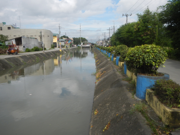 Eine überflutete städtische Straße mit Wasser auf der Straße, Bäumen und Pflanzen auf der rechten Seite, Fahrzeugen auf der linken Seite, Gebäuden und Strommasten im Hintergrund und einer bewölkten Himmel.
