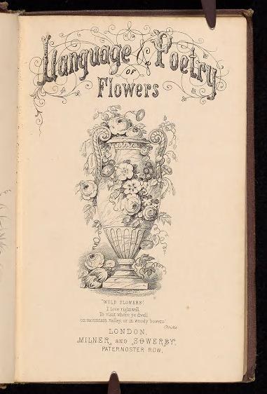 Ein offenes Buch mit dem Titel "Sprache und Dichtung der Blumen", veröffentlicht von Milner und Sowerby im Jahr 1867, mit einer Zeichnung einer Vase voller Blumen im Dunkeln.