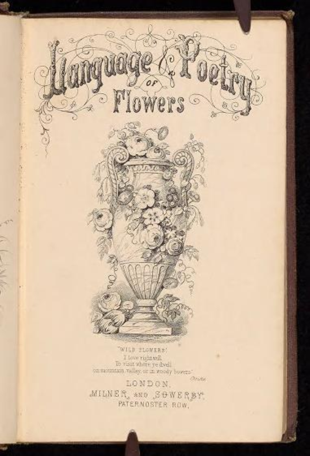 Ein offenes Buch mit dem Titel "Sprache und Dichtung der Blumen", veröffentlicht von Milner und Sowerby im Jahr 1867, mit einer Zeichnung einer Vase voller Blumen im Dunkeln.