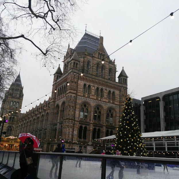 Menschen beim Eislaufen auf einer Eisbahn vor dem Naturhistorischen Museum in London, mit einem geschmückten Weihnachtsbaum und einer Person mit einem Schirm.