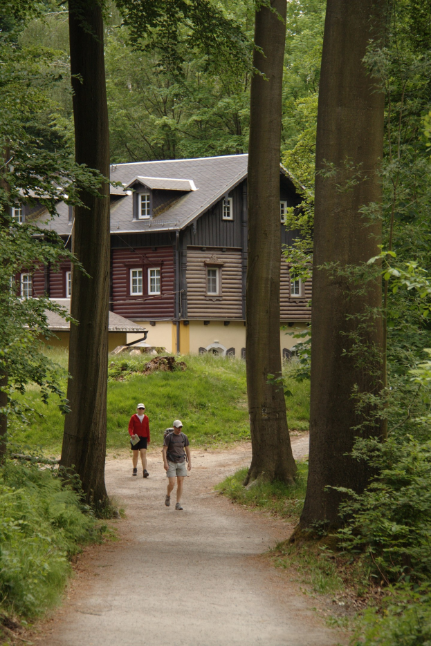 Zwei Personen, die einen Waldweg mit hohen Bäumen und grünem Gras entlanggehen, im Hintergrund ist ein Haus zu sehen.