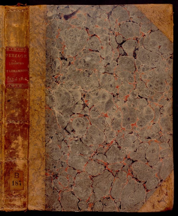 Altes Buch mit gesprungenem und bröckelndem Einband, zerfransten Rändern und zerfallenden Seiten vor dunklem Hintergrund.