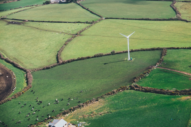 Luftaufnahme einer einzelnen Windkraftanlage in einem grünen Feld mit Bäumen, Häusern und Tieren im Hintergrund, die sich in Irland befindet.