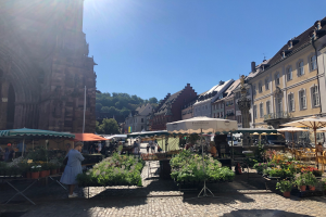 Ein lebendiger Markt im Heidelberger Altstadt mit Menschen, Tischen voller Blumentöpfe, Schirmen, Gebäuden, Bäumen und einem klaren blauen Himmel.