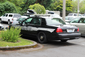 Ein Polizeiwagen auf einem Parkplatz mit anderen Fahrzeugen umgeben von Grün, Pfählen und einem Maschendrahtzaun.