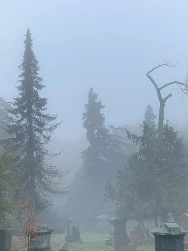 Ein nebliger Friedhof mit ein paar Grabsteinen und Bäumen im Hintergrund unter einem trüben grauen Himmel.
