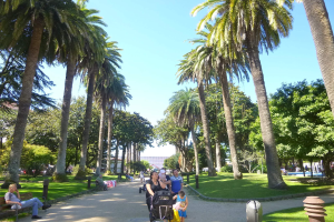 Menschen gehen und sitzen in einem Park mit Palmen, Gebäuden und einem klaren Himmel.