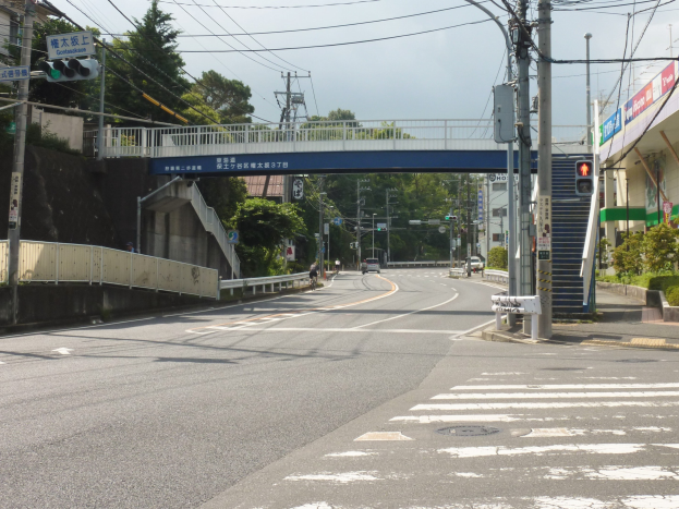 Stadtstraße mit einer Fußgängerbrücke darüber, Fahrzeuge auf der Straße, Strommasten mit Drähten, Verkehrszeichen, Schilder, Gebäude mit Fenstern, Bäume, Pflanzen und Himmel im Hintergrund.