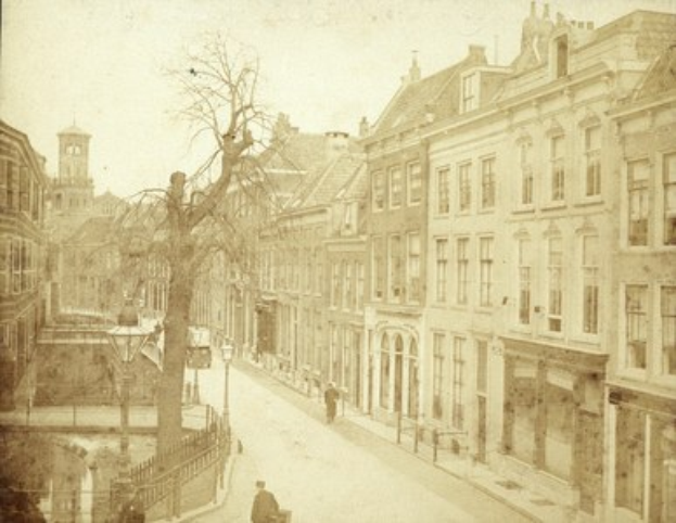 Ein Schwarz-Weiß-Foto einer Stadtstraße mit Gebäuden, Strommasten, Straßenlaternen, parkenden und fahrenden Fahrzeugen, Fußgängern auf dem Gehweg, Geländern, Bäumen und einem zentralen Baum, der Grünfläche bietet.
