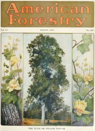 Titelbild der *American Forestry Magazine*, August 1915, mit leuchtenden Illustrationen von Bäumen und Blumen.