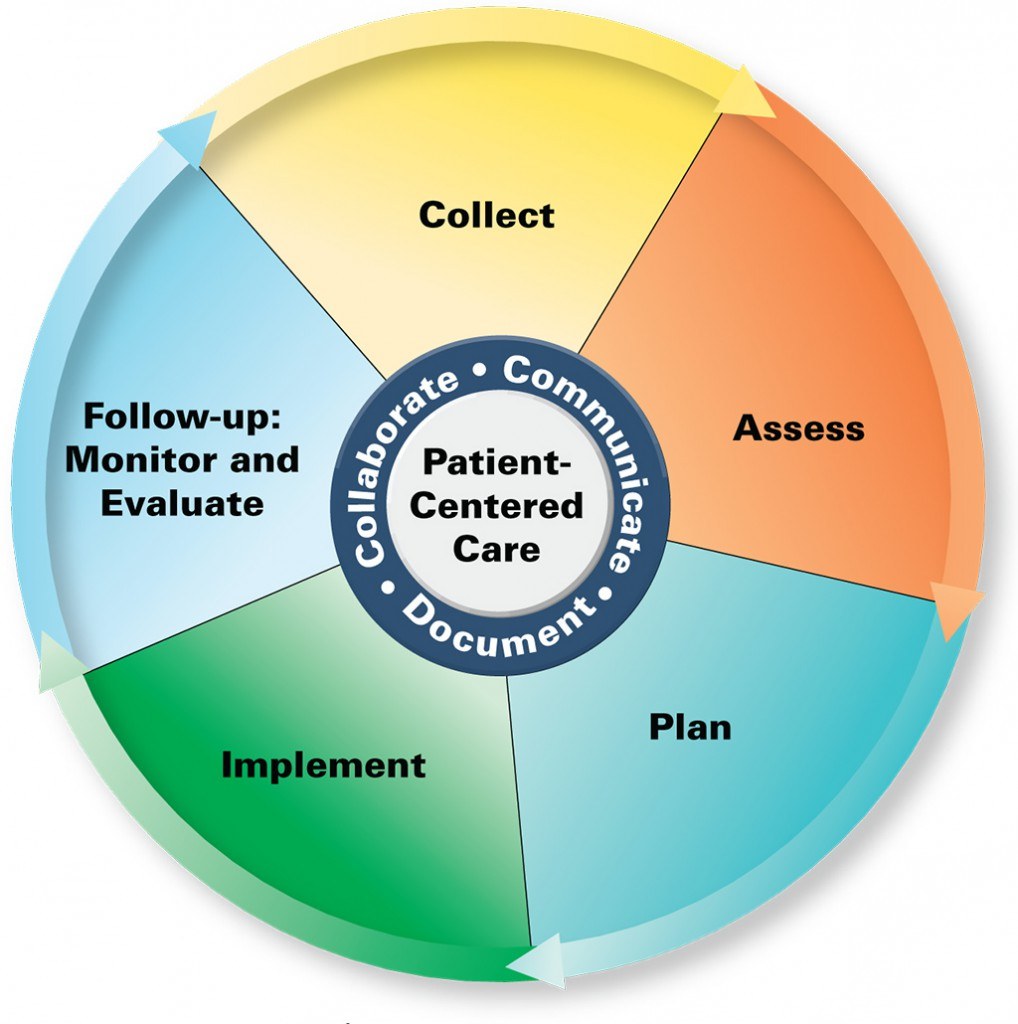 Ein Kreisdiagramm mit der Bezeichnung "patientenorientierte Pflege" mit vier farbigen Abschnitten, die jeweils mit einem spezifischen Aspekt der Pflege beschriftet sind.