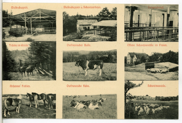 Schwarz-weiß-Foto einer Farm mit Kön, Pferden, Schafen, Häusern, Bäumen, einem Zaun und einer Aufschrift auf einer Postkarte.
