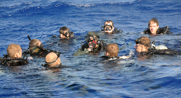 Eine Gruppe von Menschen in Tauchausrüstung, einschließlich Badeanzügen, Sauerstoffflaschen und Schwimmbrillen, schwimmen und sind in einer Aktivität im Meer beschäftigt.